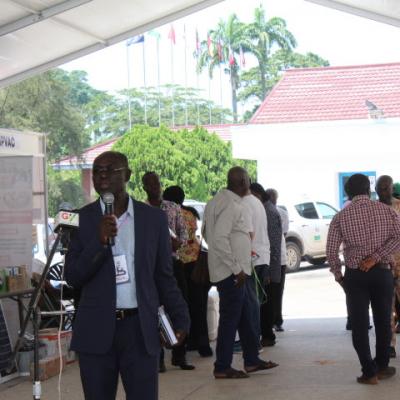 Exhibition 2019